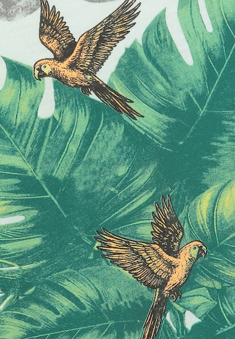 Key Largo Tričko 'KLLost' – zelená