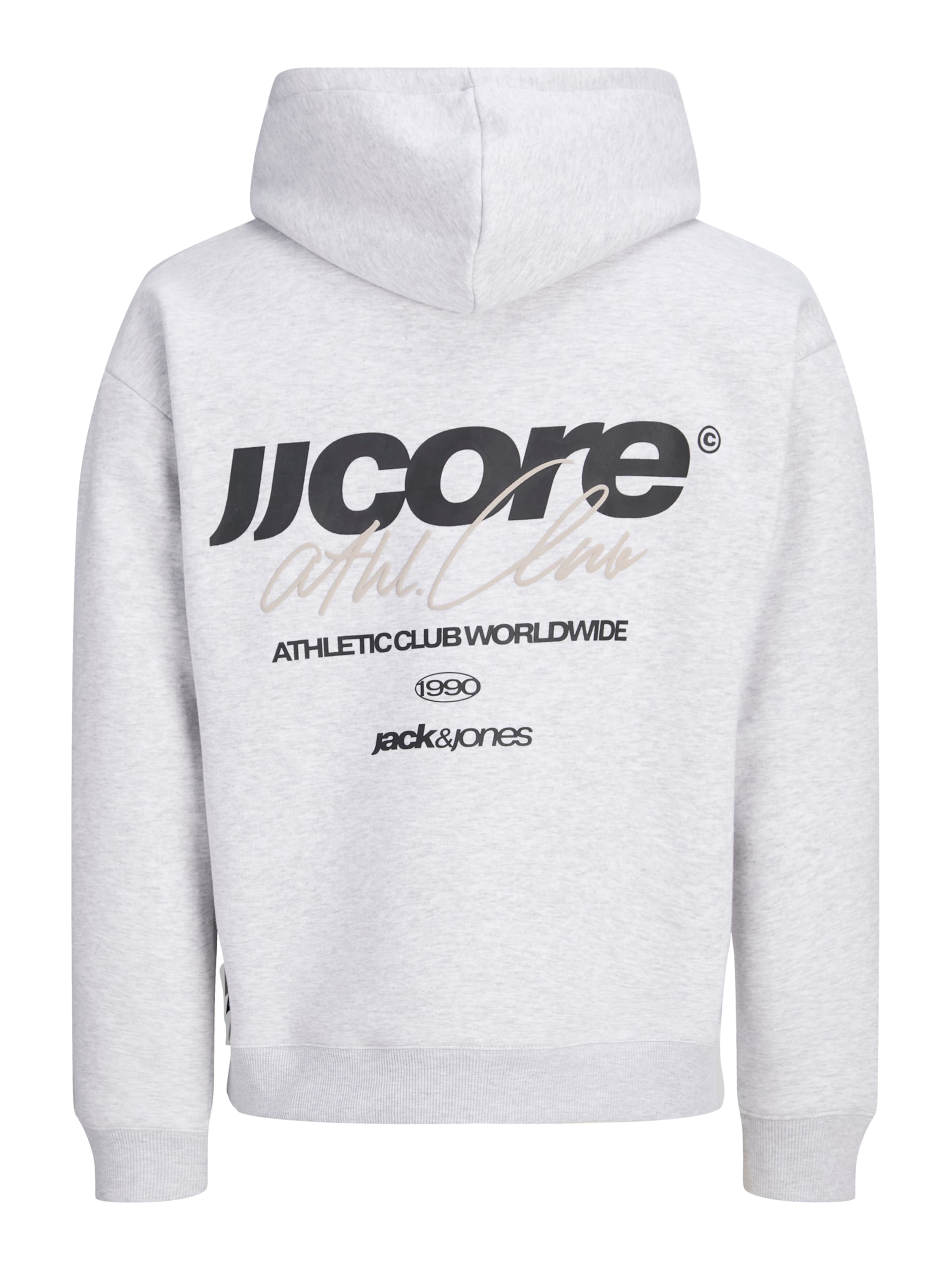 Felpa di JACK & JONES in grigio
