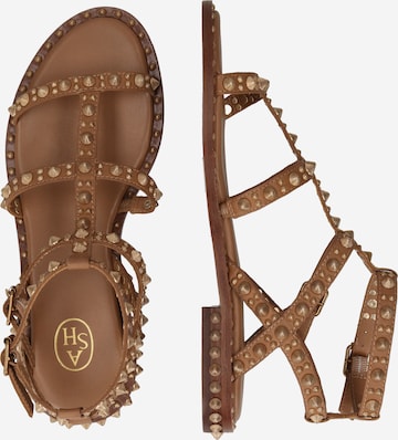 ASH Sandale PEPSY02 in Cognac ABOUT YOU