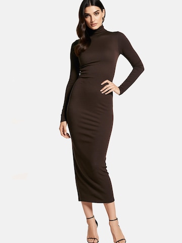 PANTHEROAR Pletena obleka 'High Neck Long Dress' | rjava barva