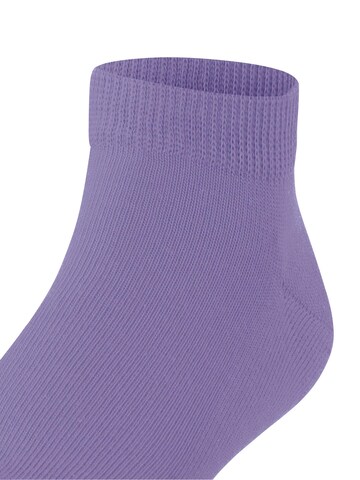 FALKE Socks 'Family' in Purple