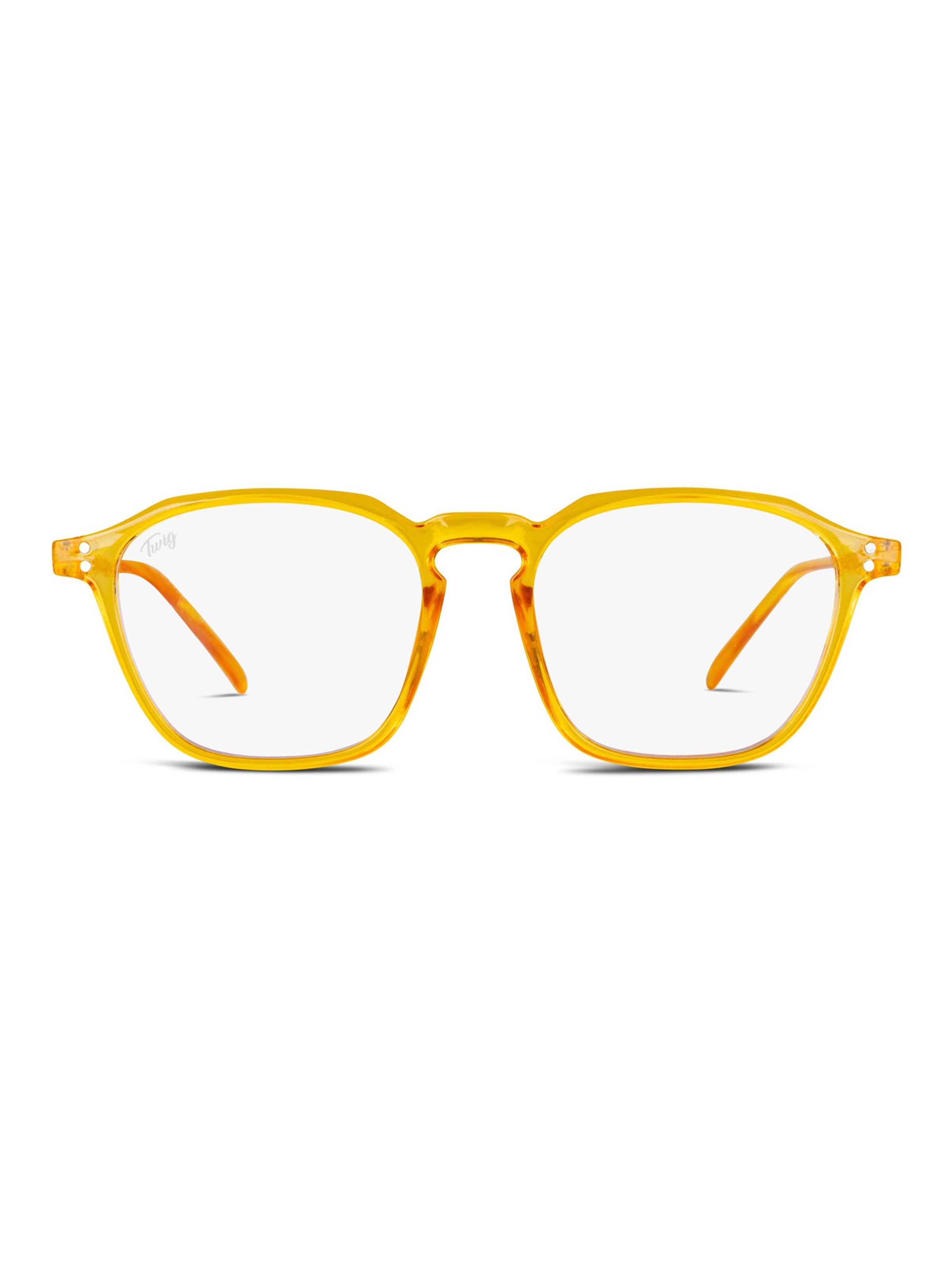 TWIG Concept Milano Glasses 'Baudry' in Orange
