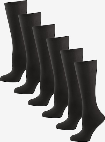 Nur Die Knee High Socks in Black: front