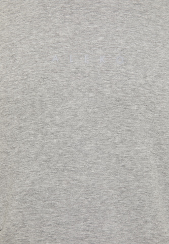 ALEKO Sweatshirt in Grey