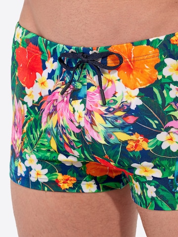 Shorts de bain ' Swim Shorts Peacock ' HOM en mélange de couleurs