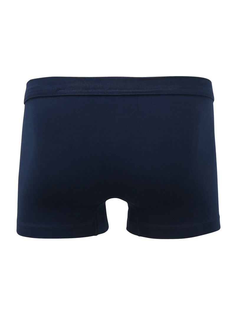 Underwear SCHIESSER Underpants Dark Blue