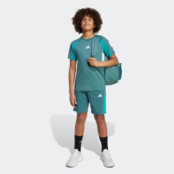 ADIDAS SPORTSWEAR Funktionsshirt in Grün
