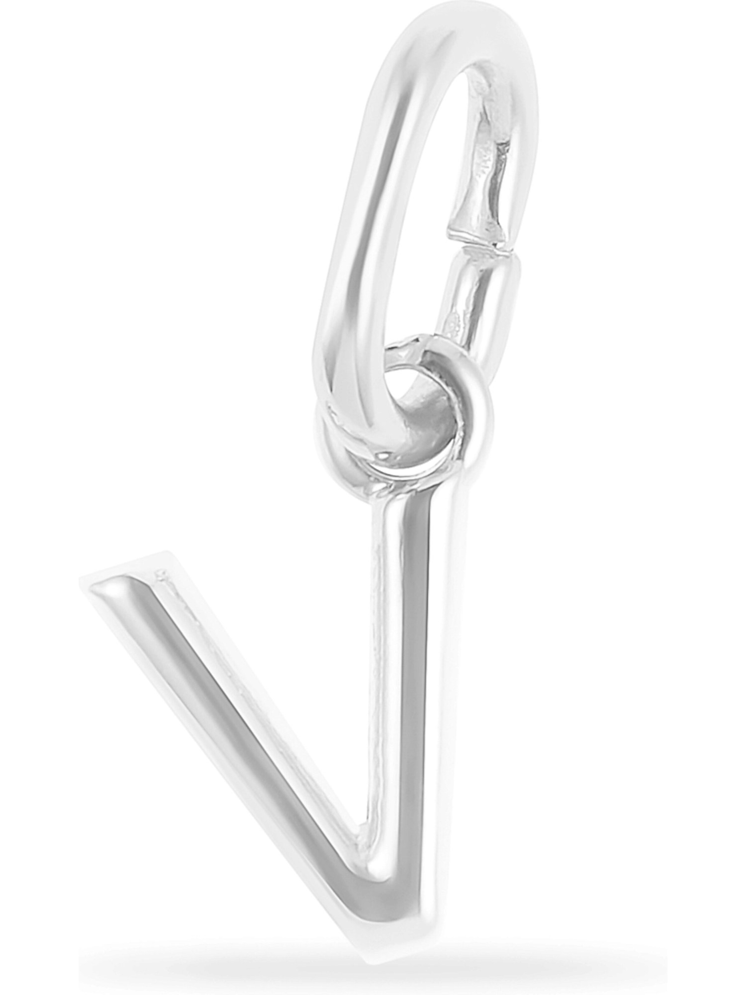 FAVS Anhänger in Silber: Vorderseite