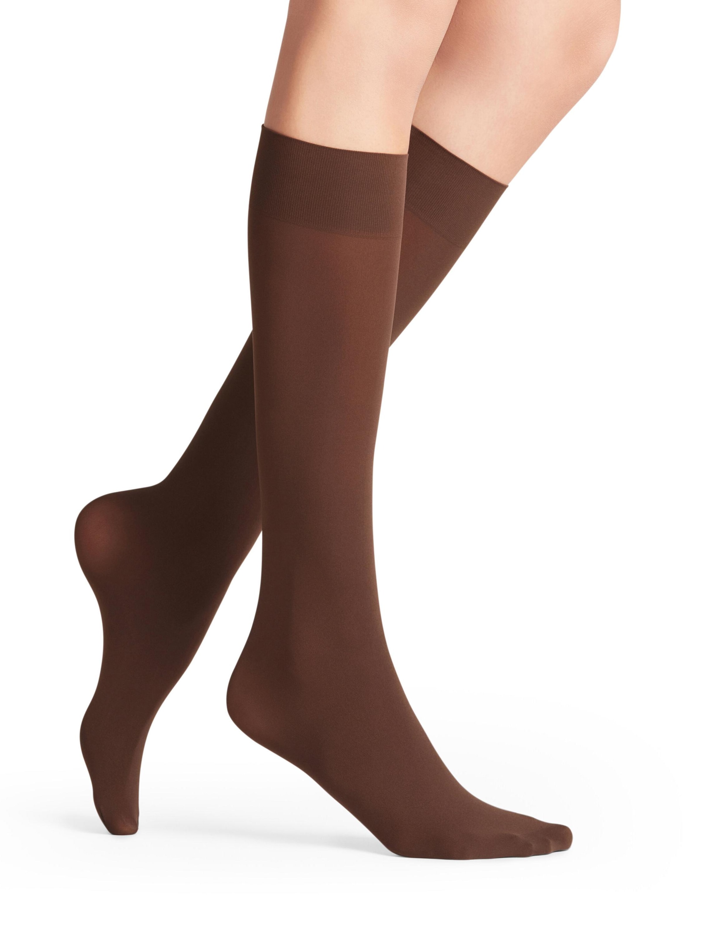 FALKE Over the Knee Socks 'Pure Matt' in Brown