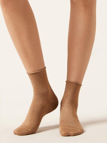 CALZEDONIA Socks in Brown: front