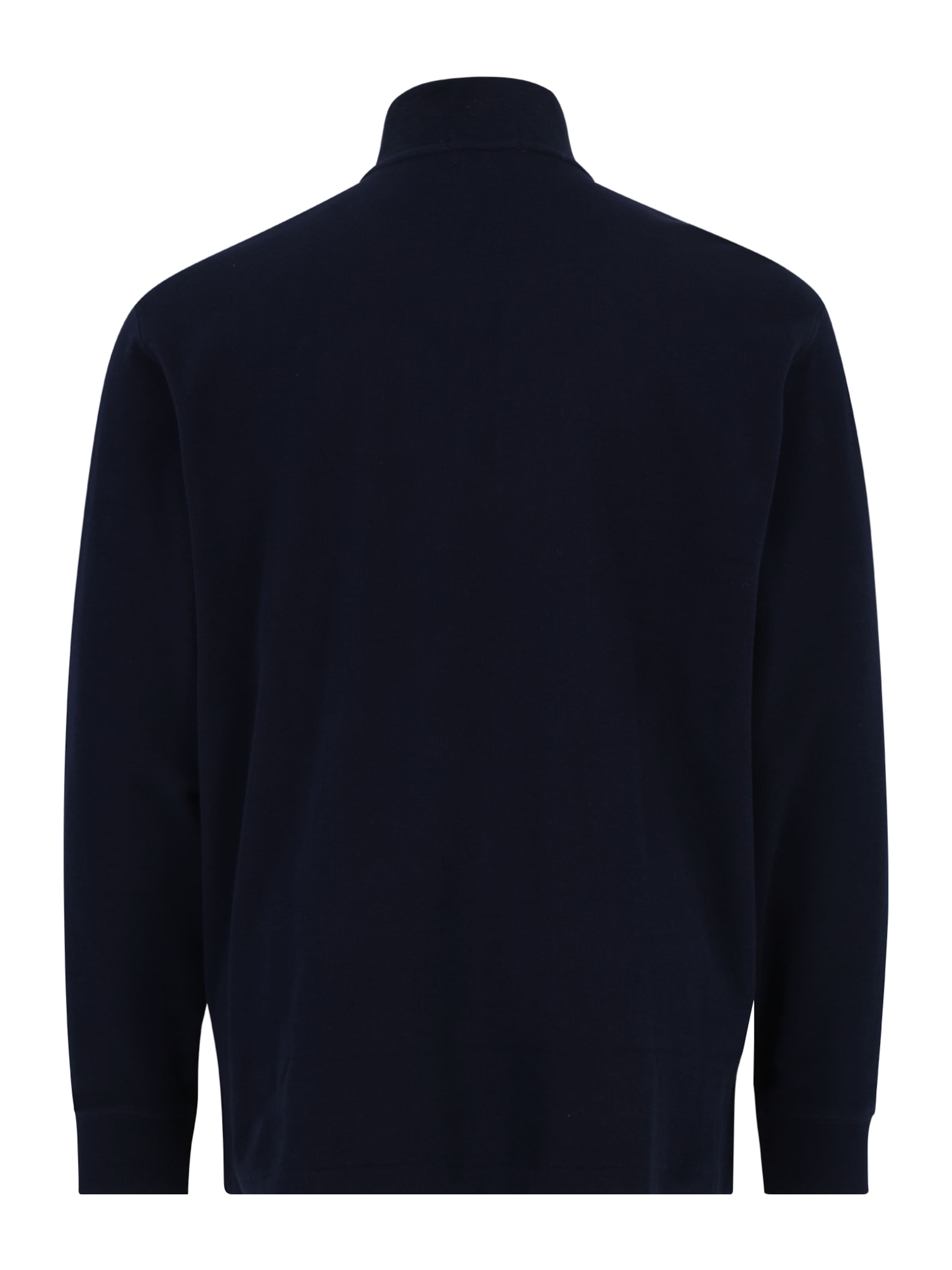 Polo Ralph Lauren Big & Tall Sweater in Blue