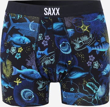 SAXX Sportsunderbukse i blå: forside