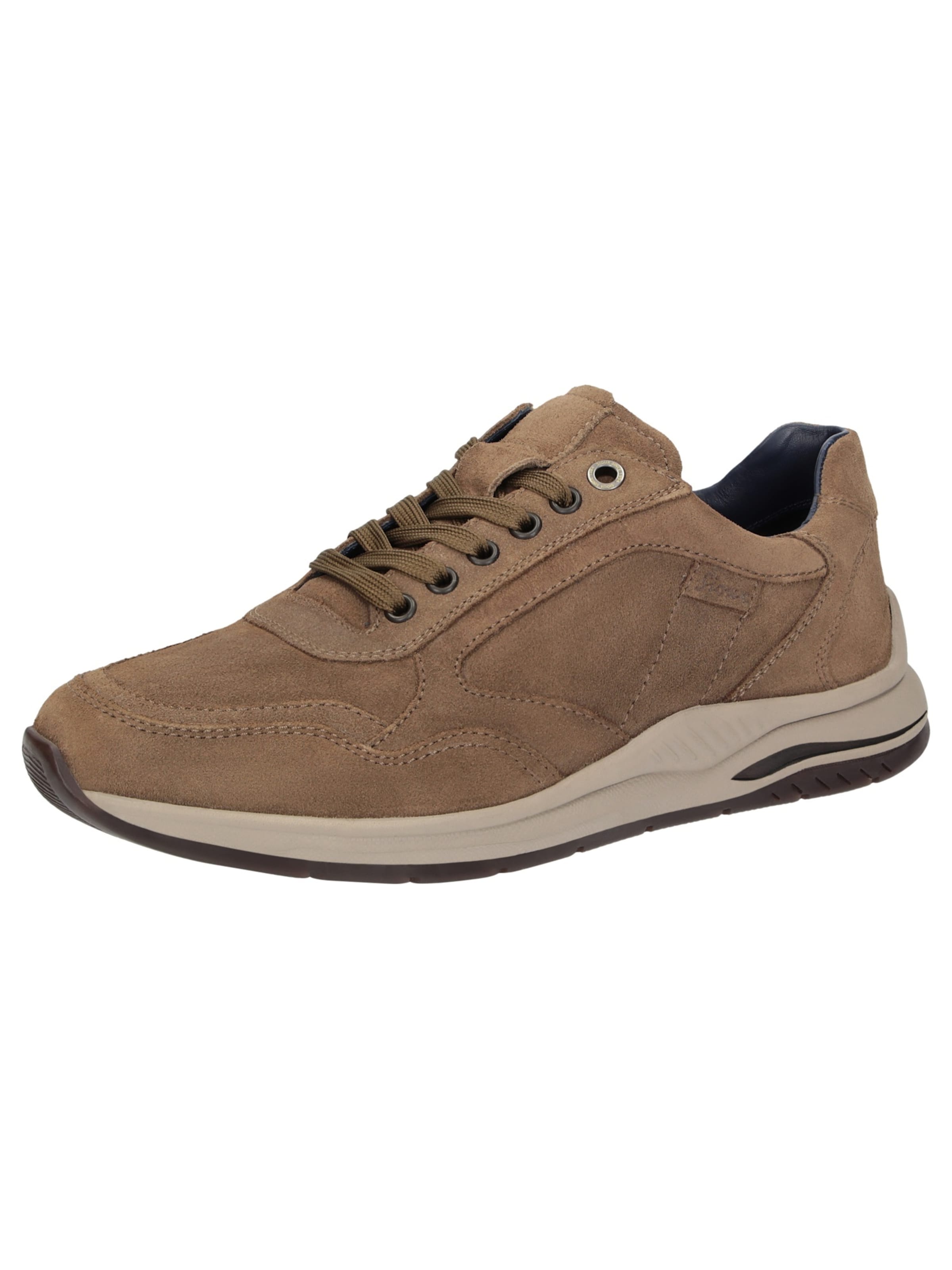 SIOUX Sneaker ' Turibio-713-J ' in Braun: Vorderseite