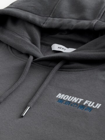 Next Sweatshirt in Grey