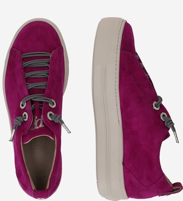 Paul Green Sneaker low i pink