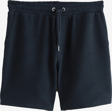 mėlyna Next Kelnės: priekis