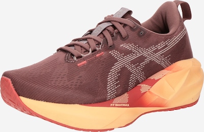 ASICS Juoksukengät 'Novablast 5' värissä harmaa / viininpunainen, Tuotenäkymä