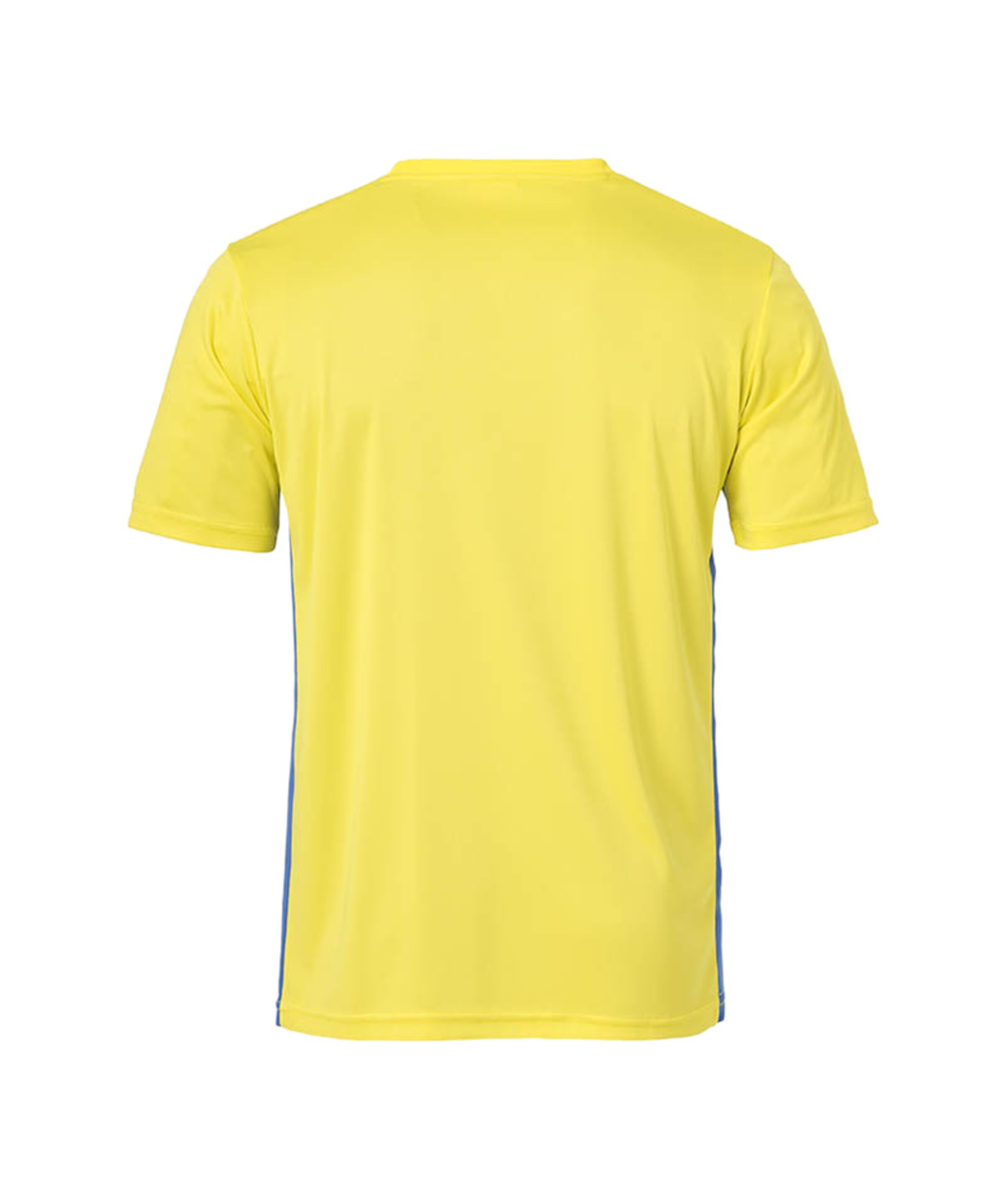 UHLSPORT Jersey 'Team Essential' in Yellow