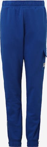 FILA Pants 'Tutow' in Blue: front