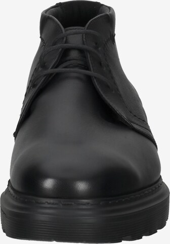 LLOYD Lace-Up Shoes in Black