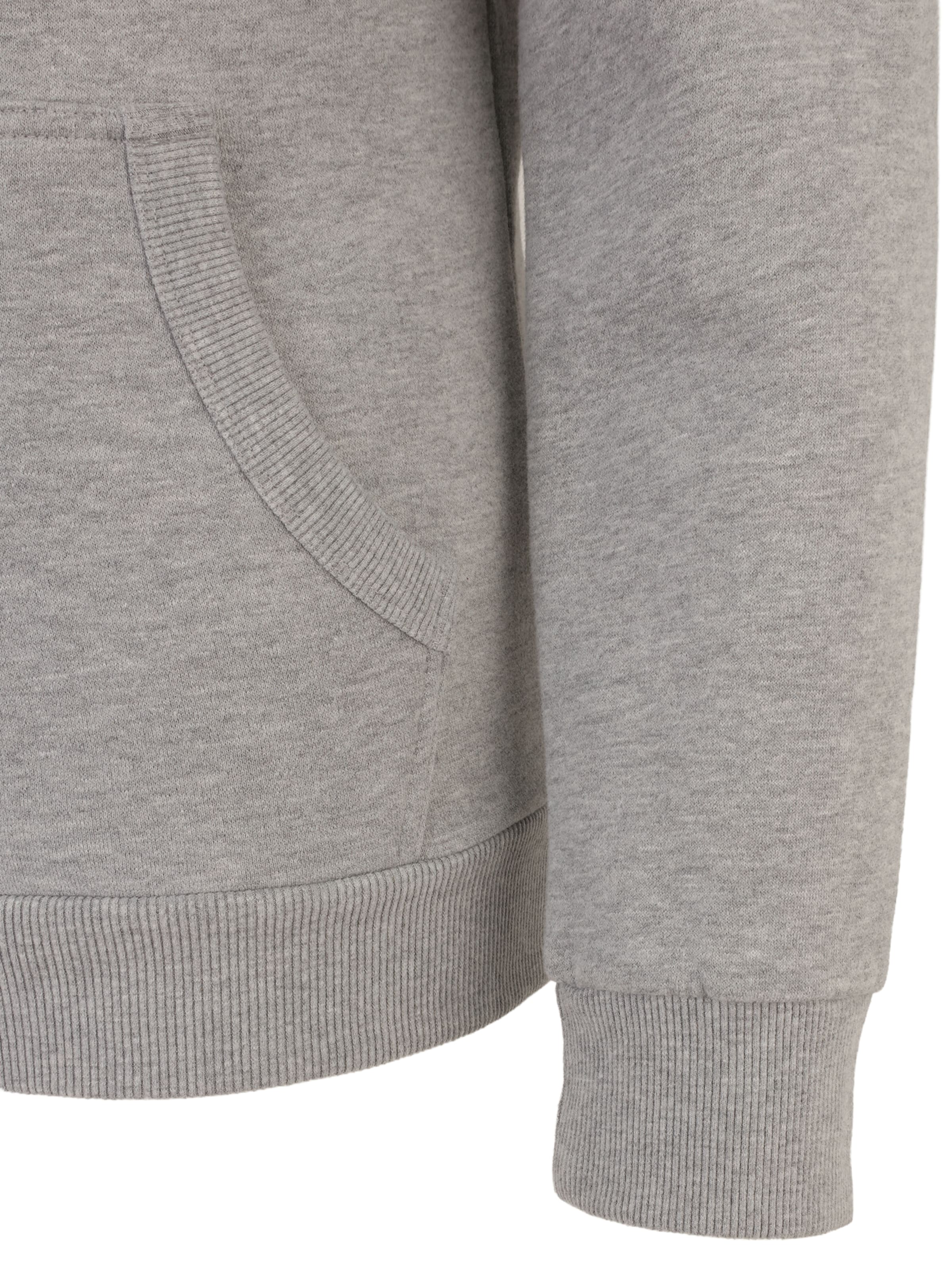 Felpa di Superdry & Co in grigio