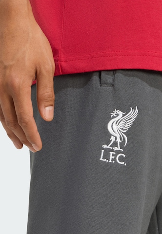 Regular Pantalon 'FC Liverpool US' ADIDAS ORIGINALS en gris