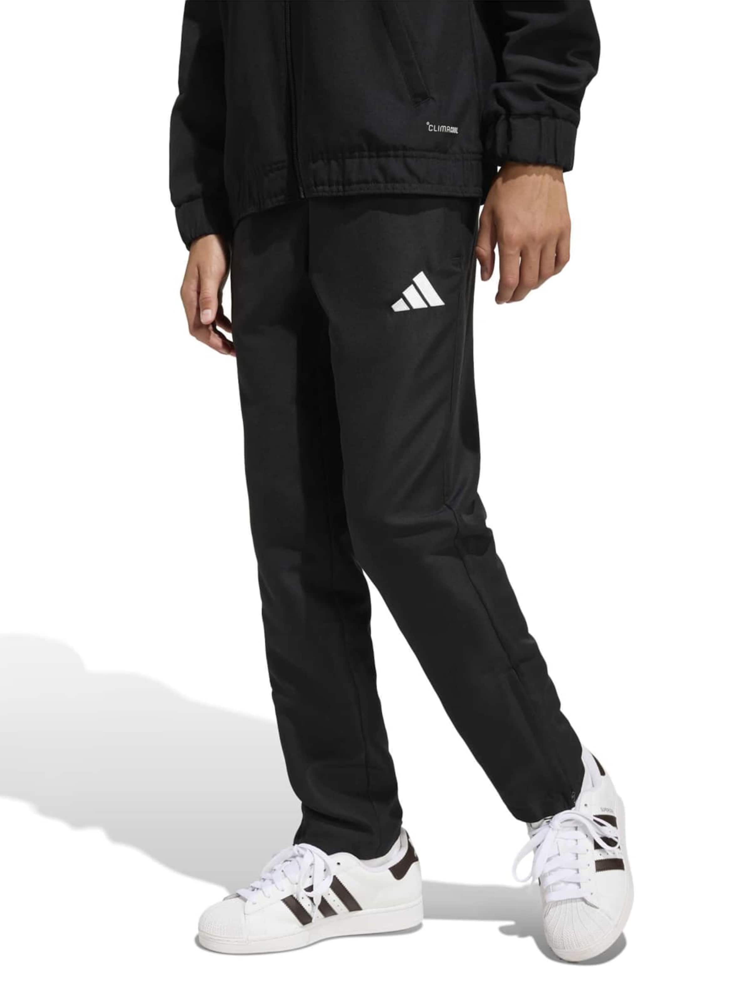 ADIDAS PERFORMANCE - regular Pantalón deportivo 'ENT26' en negro: frente