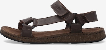 VENEZIA Sandale in Braun: Vorderseite