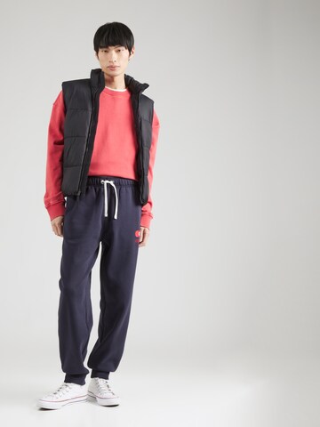 Champion Authentic Athletic Apparel Tapered Hose in Blau