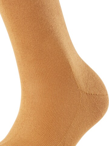 FALKE Socks 'Family' in Brown