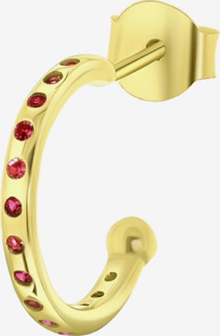 Lucardi Earrings in Gold: front