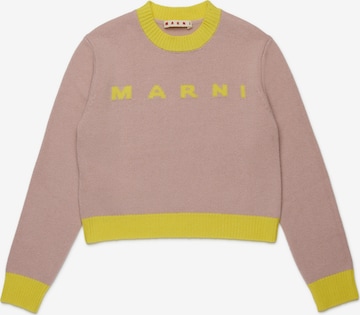 Marni Свитер в Ярко-розовый: спереди