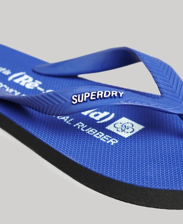 Superdry Zehentrenner in Blau