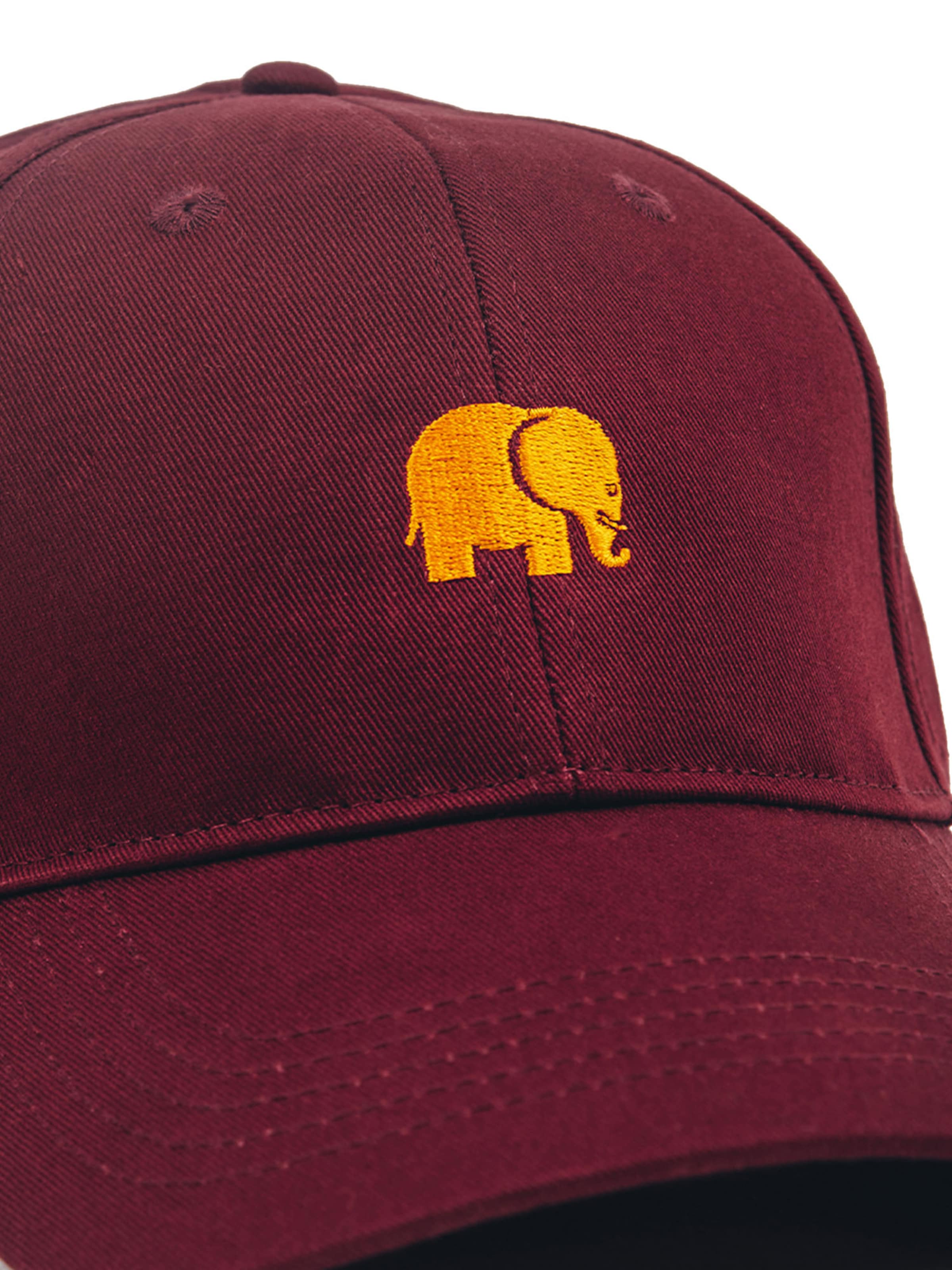 Trendsplant Hætte ' CLASSIC 6 PANEL ' i rød