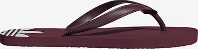36,5-37 dydžio Sandalai / maudymosi batai 'Adi Sun' iš ADIDAS ORIGINALS, spalva – vyno raudona spalva, Prekių apžvalga