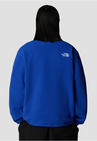 THE NORTH FACE Sweater 'Fleeski' in Blue