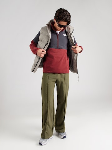 THE NORTH FACE Sportspullover 'GLACIER' i rød