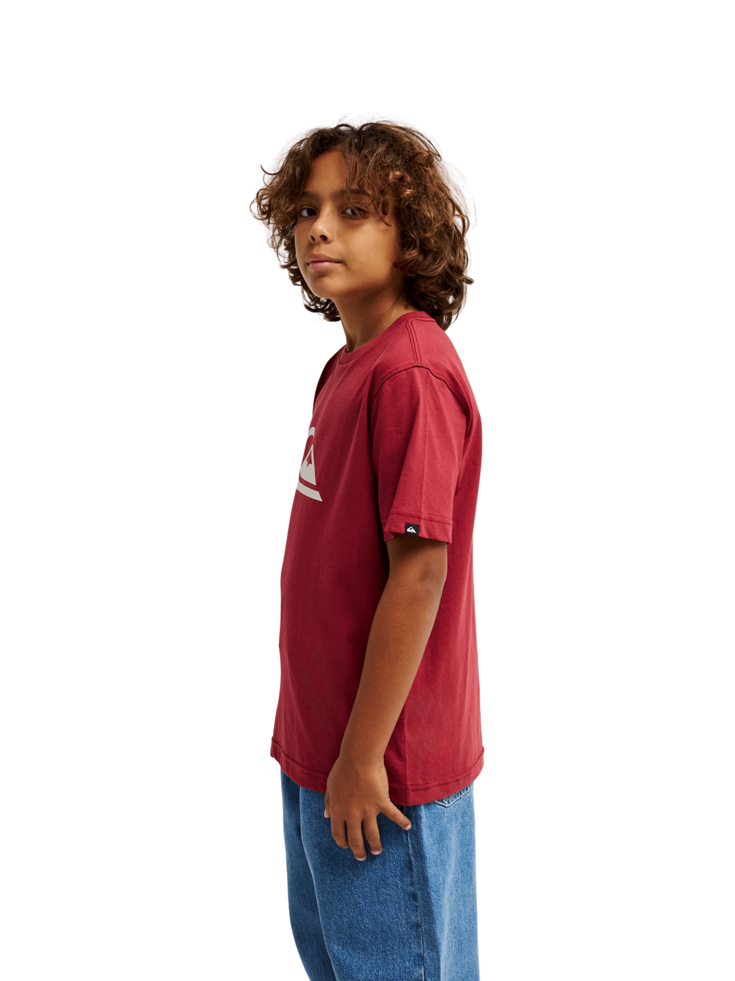 QUIKSILVER Shirt in Red