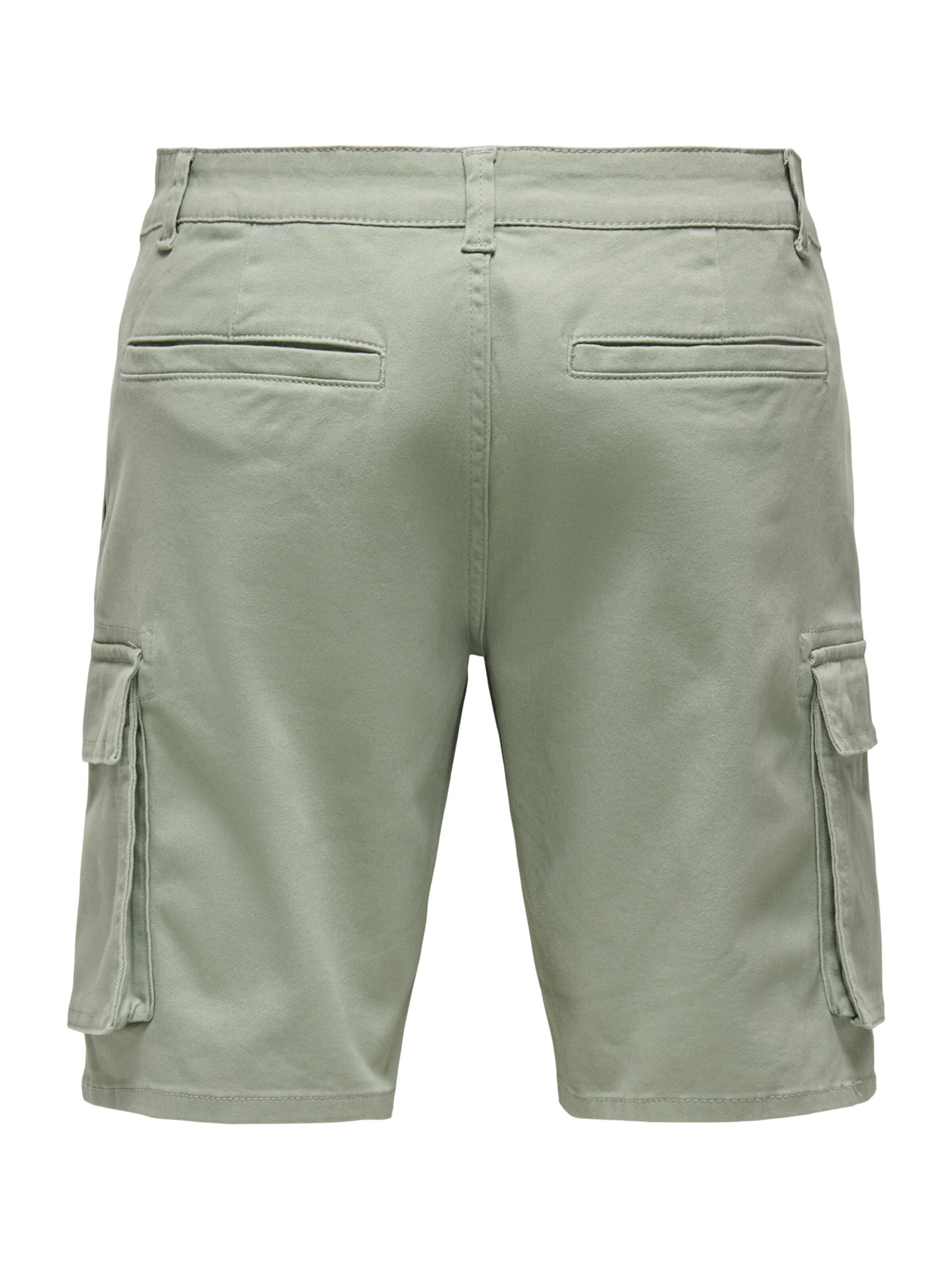 Only & Sons Regular Shorts 'ONSCAM STAGE' in Grün