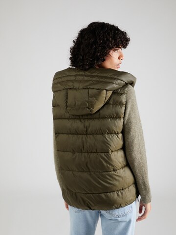 Gilet di ESPRIT in verde