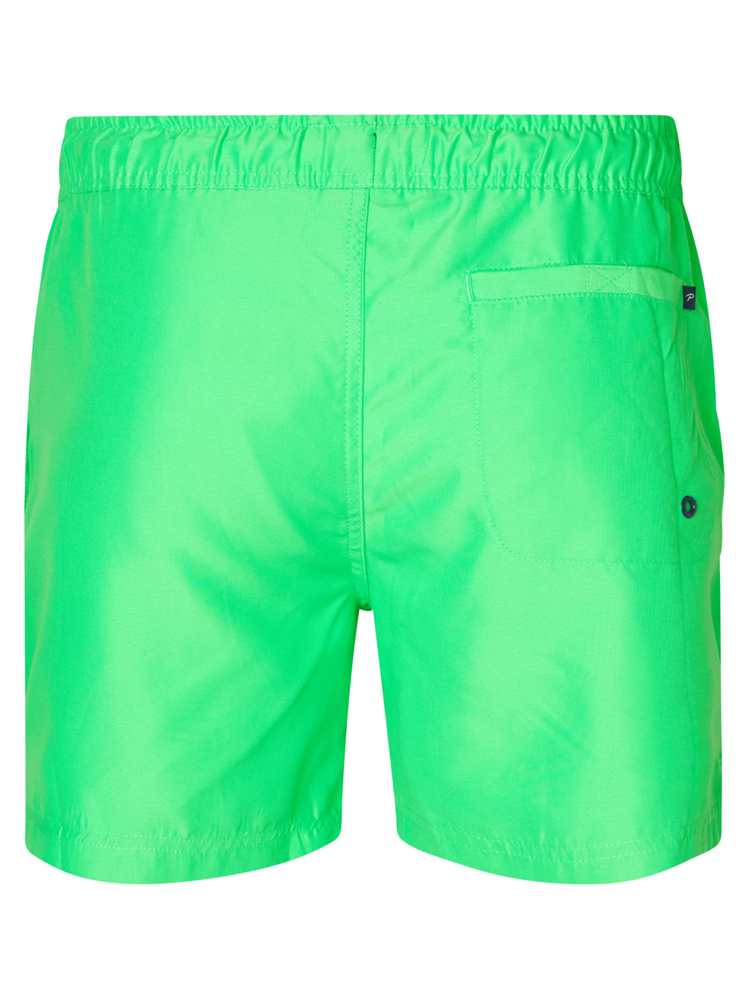 Petrol Industries Uimashortsit 'Citrusgrove' värissä vihreä
