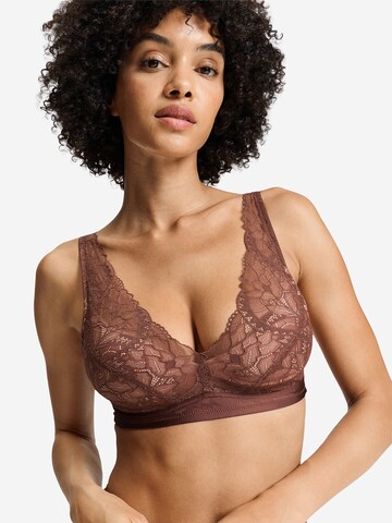 Hanro T-shirt Bra ' Azelia ' in Brown