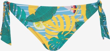 VIVIDBikini donji dio - plava boja: prednji dio