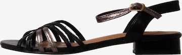 POTI PATI Sandal 'Supermodische Riemchensandalen' in Black: front
