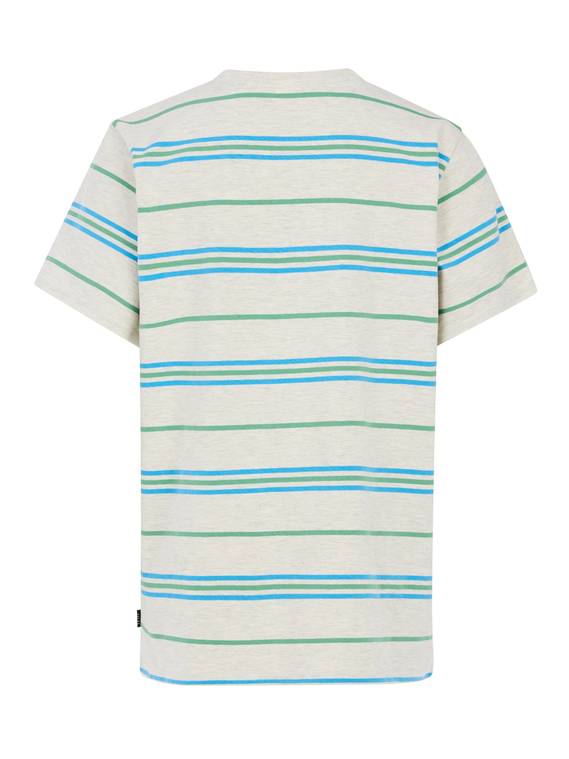 PROTEST Shirt 'PRTScott JR' in Blau