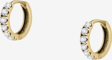 FAVS Ohrringe in Gold: Vorderseite