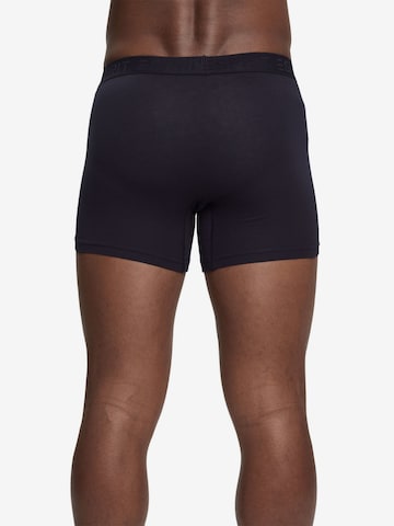 ESPRIT Boxershorts in Blau