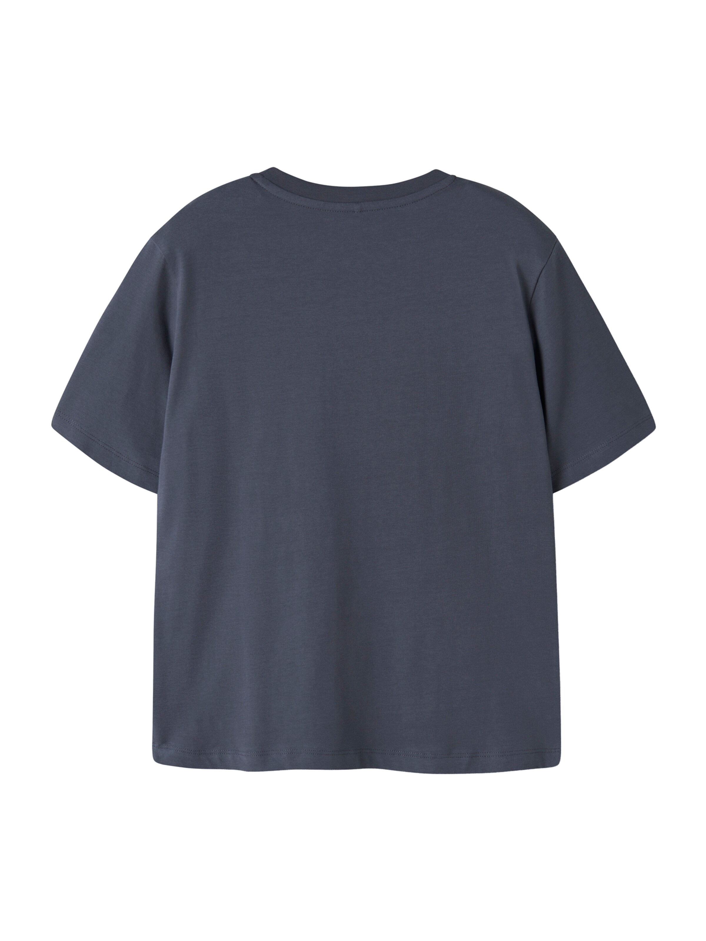 NAME IT - Camiseta 'NKNCHARLIE' en gris