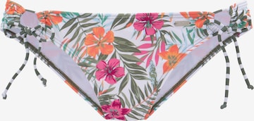 VENICE BEACHBikini donji dio - bijela boja: prednji dio