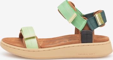 WODEN Sandaler 'Line' i grøn: forside
